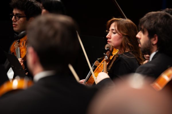 Foto Artemus - Orchestra